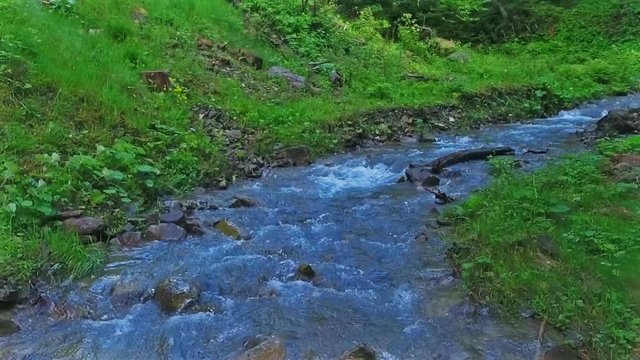 flying over creek in green forest in slow motion
