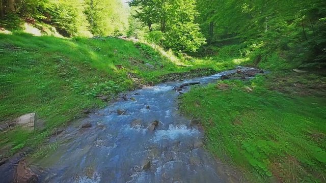 flying over creek in green forest
