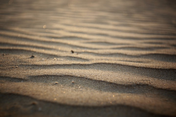 texture desert sand dunes waves