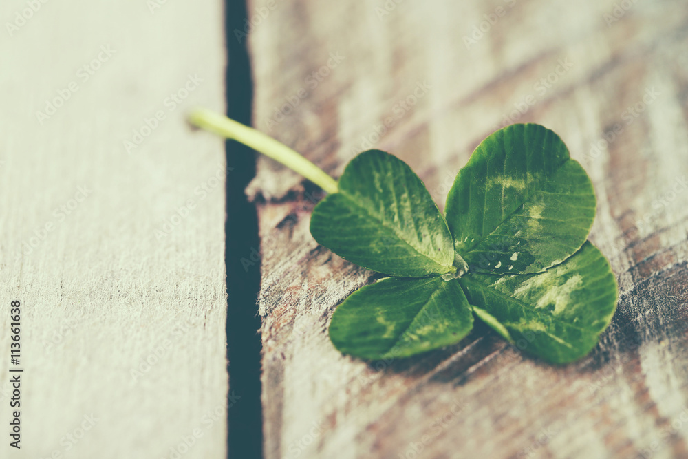 Sticker Green clover leaf on wooden background, close up