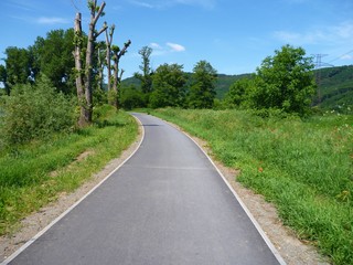 Fototapeta na wymiar asphalted cycling road in the grean meadow