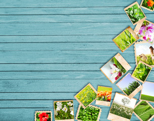 Different photos of nature pictures on wooden background