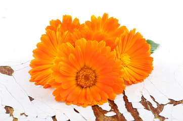 Calendula. Marigold flowers with leaves on an old wooden table.Selective focus.