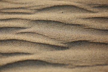 texture desert sand dunes waves