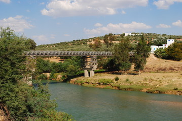 Naklejka premium Mejerda's Bridge