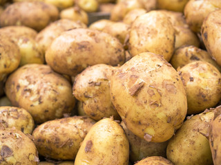 Frisch geerntete Kartoffeln auf dem Markt