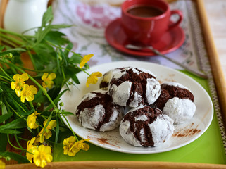 chocolate cakes in powdered sugar