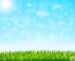 Fototapeta na wymiar nature background with green grass and blue sky