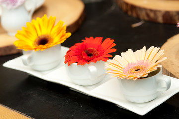 Fototapeta na wymiar chrysanthemum flower with cup on table