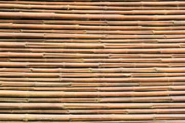 bamboo texture