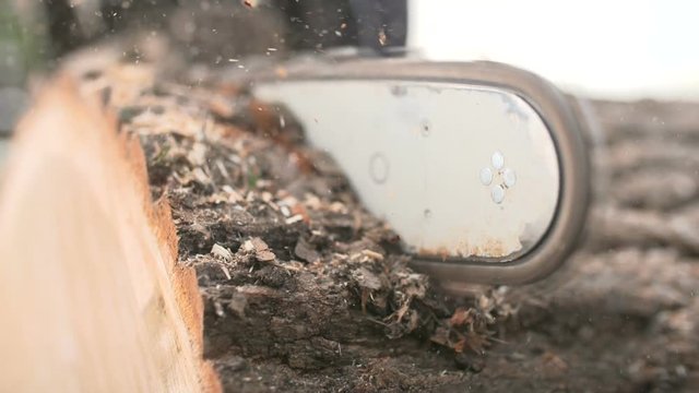 Cutting through wood with chainsaw in slow motion.