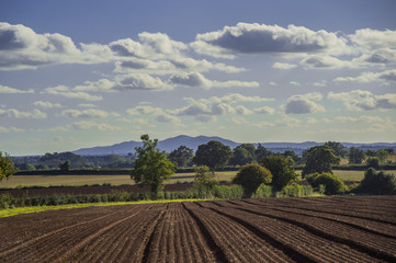 field agriculrural landscape UK