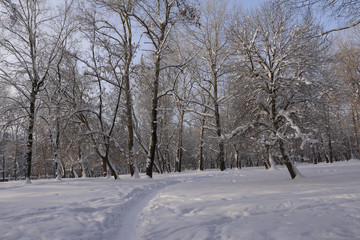 Fototapeta na wymiar Road in snow in cold winter day