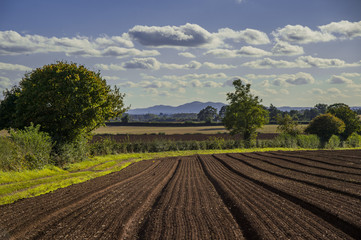 field agriculrural landscape UK