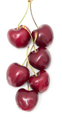 red cherries on a white background