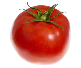 red tomato white background