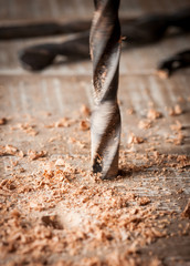 Detail of drill bit in a piece of wood