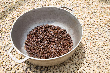 Grains de café dans Moulin à Café à Salento en Colombie. 