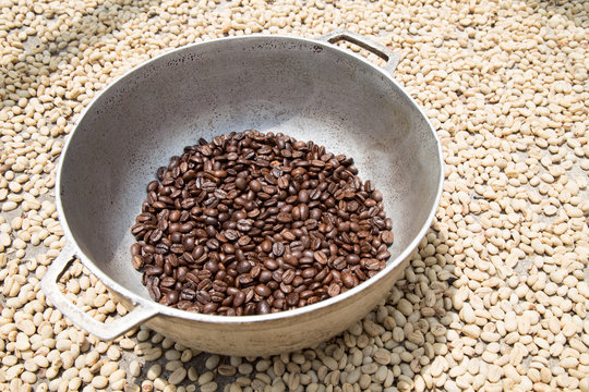 Grains de caf&eacute; dans Moulin &agrave; Caf&eacute; &agrave; Salento en Colombie. 