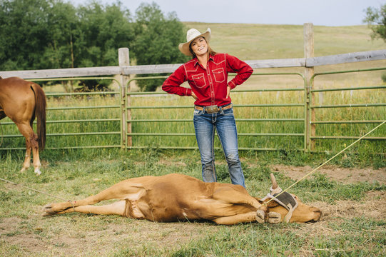 Cowgirl with tied cattle on ranch