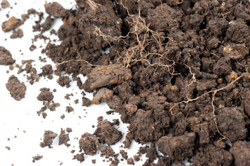 Soil background