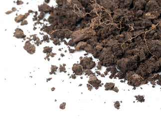 Soil background
