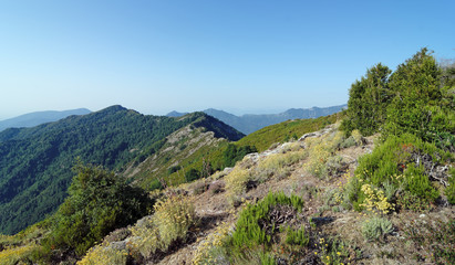 Naklejka premium chemin de crète en haute Corse