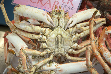 Krabbe auf einem Fischmarkt