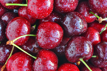 Sweet cherries with water drops macro