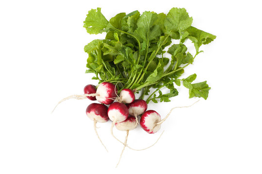 radishes with leaves
