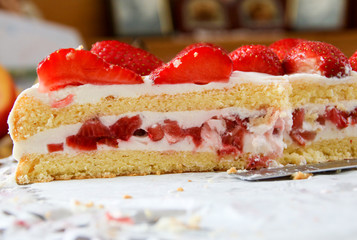 Erdbeer-Joghurt-Torte