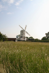 Saxtead mill with wild field in front