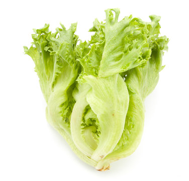 fresh lettuce leaves close up isolated