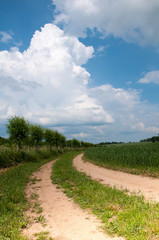 Fototapeta na wymiar Nature landscape of agricultural fields and country road
