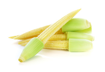 baby corn isolated on white background © nipaporn