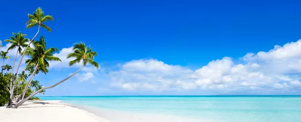 Fotobehang Strand en zee Strandpanorama met blauw water en palmbomen