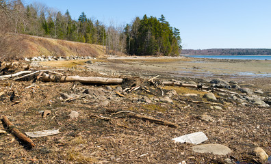 Long Cove coastline debris from high tides.