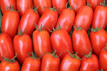 red tomatoes