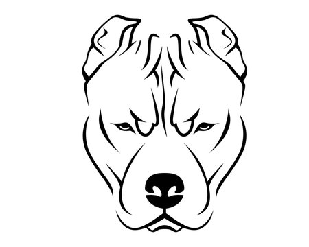 Pit Bull Drawing Images – Browse 3,198 Stock Photos, Vectors, and Video |  Adobe Stock