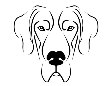 Animated great dane sale