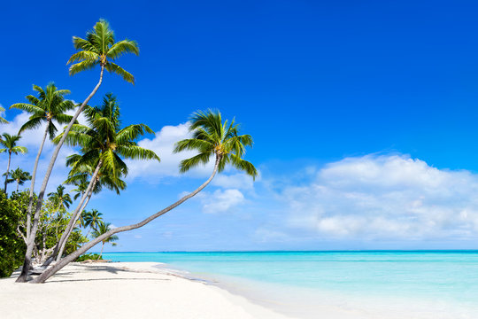 Sommer, Sonne, Strand und Meer als Hintergrund