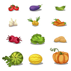 food. Vegetables icons big set, vector illustration