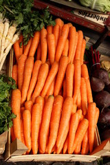 Carrots on market