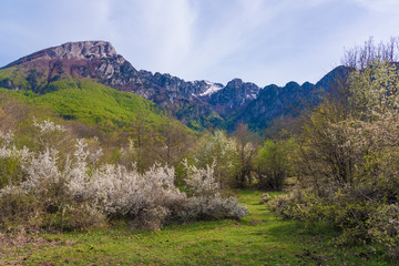 The "Camosciara", in the heart of National Park of Abruzzo (in italian Parco Nazionale d'Abruzzo), province of L'Aquila, central Italy.