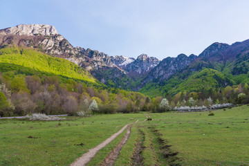 The "Camosciara", in the heart of National Park of Abruzzo (in italian Parco Nazionale d'Abruzzo), province of L'Aquila, central Italy.