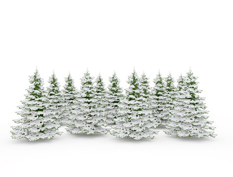 Group of christmas pine trees covered in snow isolated on white