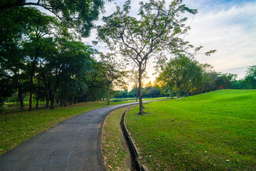 Fototapeta na wymiar Pathway in public park during sunset time