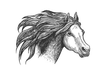 Graceful running appaloosa horse vintage icon 