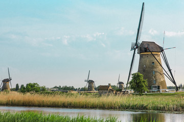Naklejka premium Traditional Dutch windmills with green grass in the foreground, The Netherlands