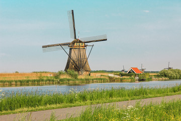 Fototapeta premium Traditional Dutch windmills with green grass in the foreground, The Netherlands
